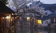 西塘风景区7