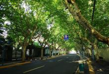 华山路28