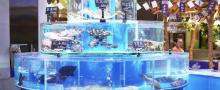 上引生活水世界33