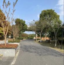 康桥生态园-沔青绿地7