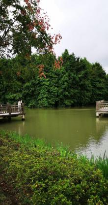 康桥生态园-沔青绿地17