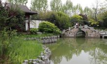 亩中山水园29
