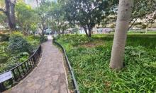 延福公园1