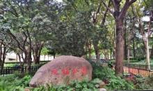 延福公园5