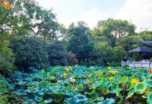 桂林公园29