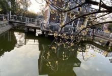桂林公园16