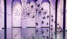 安娜苏的艺想世界 The World of Anna Sui1