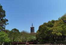 上海大观园32