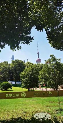北外滩滨江绿地28