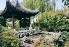 紫藤园23
