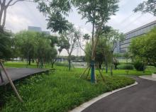 宜山路小花园1