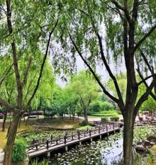 宜山路小花园6