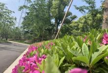 宜山路小花园7