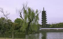 方塔园1