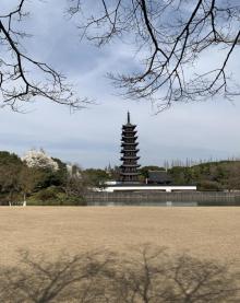 方塔园16