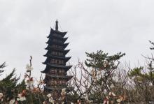 方塔园19