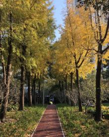 静安雕塑公园6