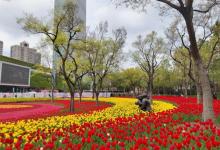静安雕塑公园7