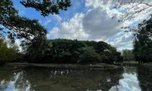 湖滨观景区2