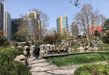 静安公园19