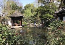静安公园21