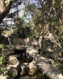 静安公园23
