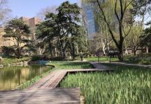 静安公园17