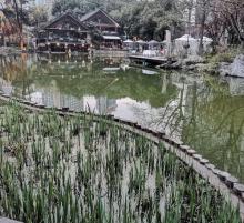 静安公园27