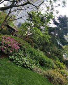 静安公园5