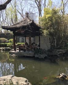 静安公园20