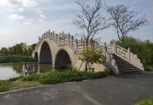 广富林郊野公园4