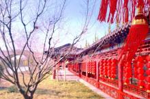 广富林郊野公园7