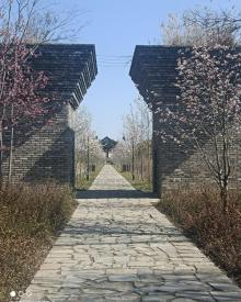 广富林郊野公园12