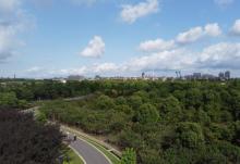 广富林郊野公园24