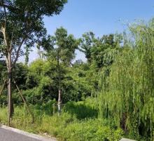 广富林郊野公园32
