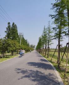 广富林郊野公园38