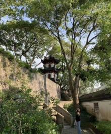 川沙古城墙23