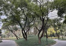东方明珠公园5