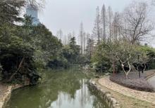 东方明珠公园4