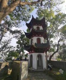 川沙古城墙28