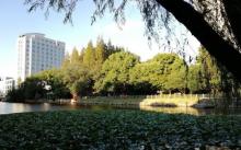 华东师范大学19