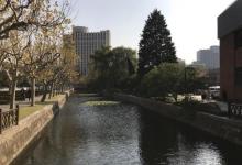华东师范大学26