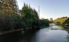 华东师范大学22