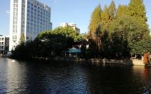 华东师范大学24
