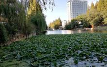 华东师范大学18