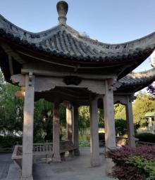 华东师范大学17