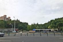 塘桥公园1