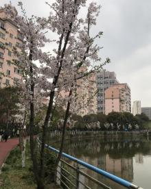 塘桥公园4