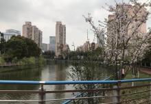 塘桥公园6