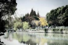 塘桥公园8